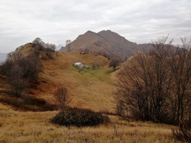 Nasego (4)